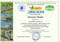 img (7)